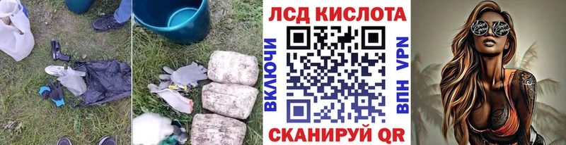 ОМГ ОМГ как зайти  купить наркоту  Новороссийск  площадка телеграм  LSD-25 экстази ecstasy 